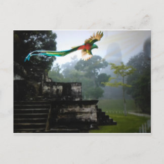 Quetzel i Tikal Vykort