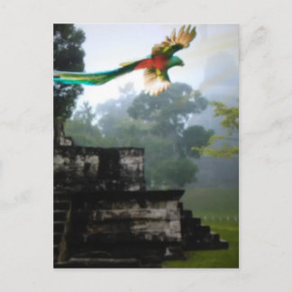 Quetzel i Tikal Vykort