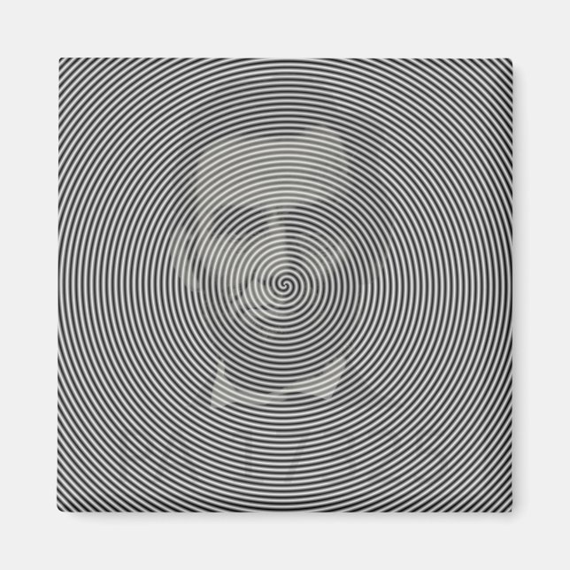 Quick Quiz Magnet (Framsidan)