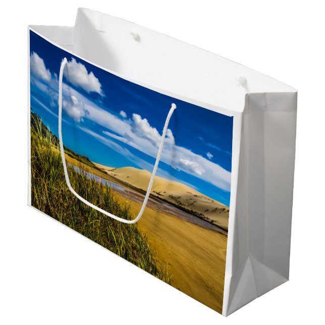 Quicksand stream nära 90-Mile Beach, Nya Zeeland (Framsidan Vinklad)