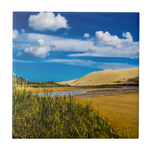 Quicksand stream nära 90-Mile Beach, Nya Zeeland Kakelplatta