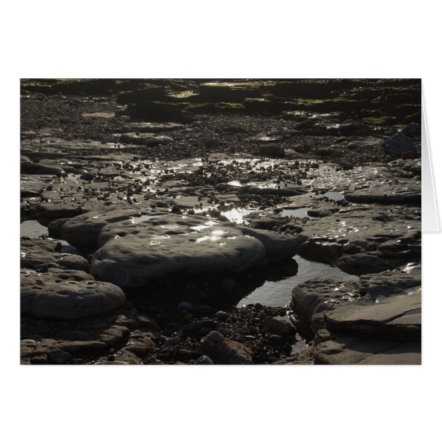 Quicksilver Hälsningskort (Framsidan Horizontal)