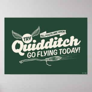 QUIDDITCH™ Rekryteringaffisch Poster