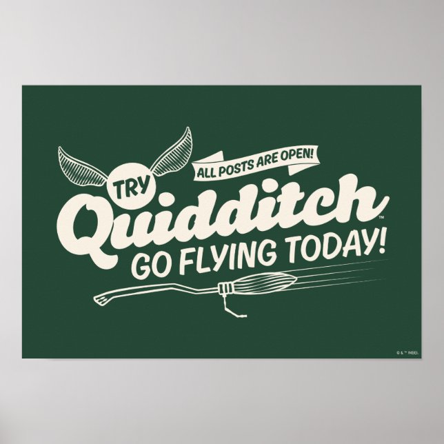 QUIDDITCH™ Rekryteringaffisch Poster (Framsidan)