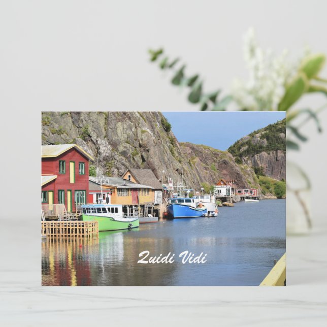 Quidi Vidi, Newfoundland (Stående Fram)