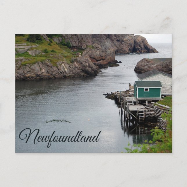 Quidi Vidi Newfoundland Kanada Vykort (Framsida)