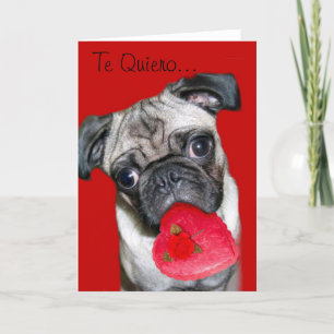 Quiero Tarjeta de Perro Pug Helgkort