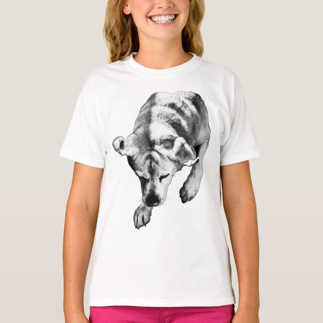 Quiet Arc - Overhead Labrador T Shirt (Framsida)