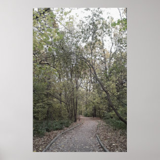 Quiet Autumn Forest Path – Scandinavian Edition Poster
