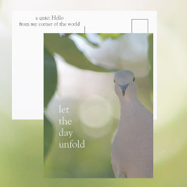 Quiet Bird Moment – Let the Day Unfold Dove Vykort