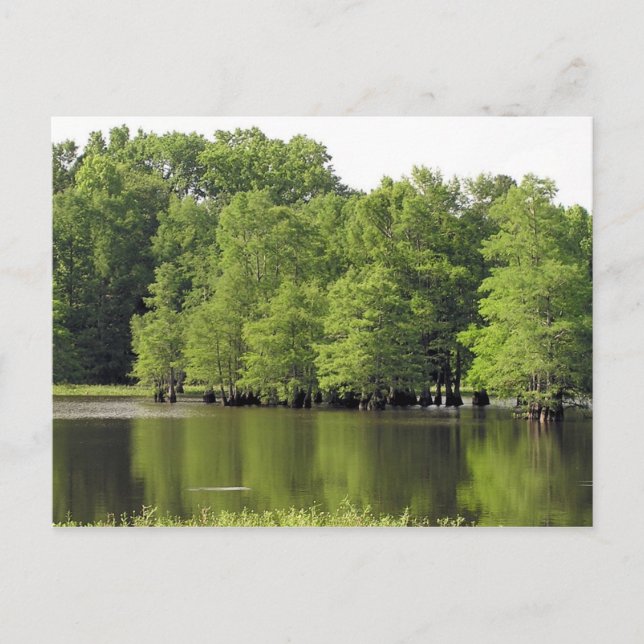 Quiet Cove Vykort (Framsida)