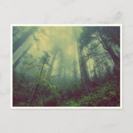 Quiet Forest Vykort