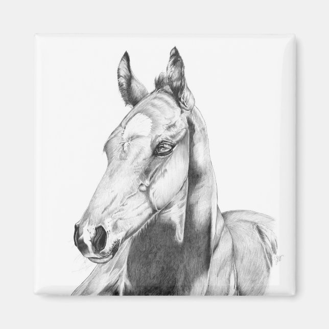 Quiet Gaze Magnet (Framsidan)