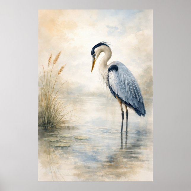 Quiet Marsh Heron | Blue Heron | Poster (Framsidan)