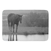 Quiet Reflectionz ~ Horse Bathmat