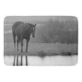 Quiet Reflectionz ~ Horse Bathmat Badrumsmatta