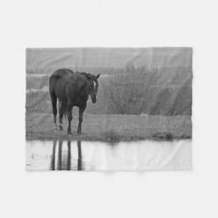 Quiet Reflectionz ~ Horse Blanket Fleecefilt