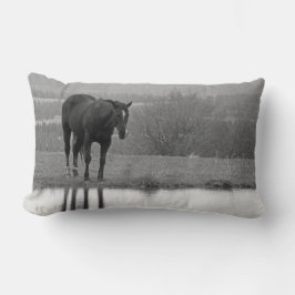 Quiet Reflectionz ~ Horse Pillow Lumbarkudde