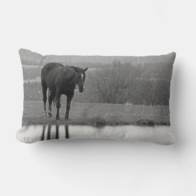 Quiet Reflectionz ~ Horse Pillow Lumbarkudde (Framsida)