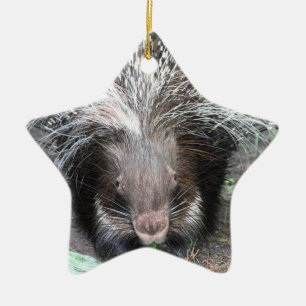 Quilled Porcupineprydnad Julgransprydnad Keramik