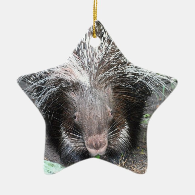 Quilled Porcupineprydnad Julgransprydnad Keramik (Framsidan)
