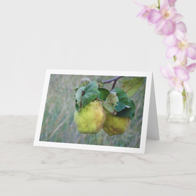Quince Fruit Card Kort (Orkide)