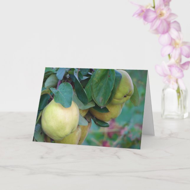 Quince Fruit Card Kort (Orkide)