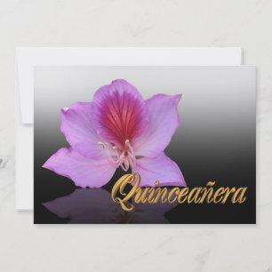 Quinceanera-inbjudan 15:e födelsedag elegant inbjudningar