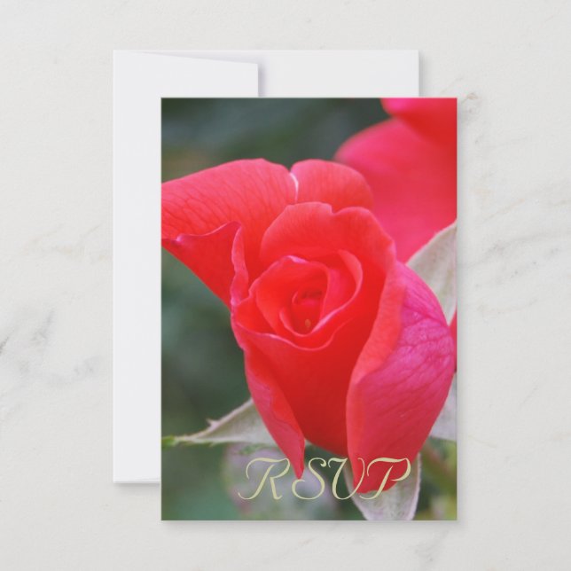 Quinceanera OSA Röd ros (Framsida)