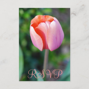 Quinceanera OSA Rosa Tulip 15:e födelsedagen Kort