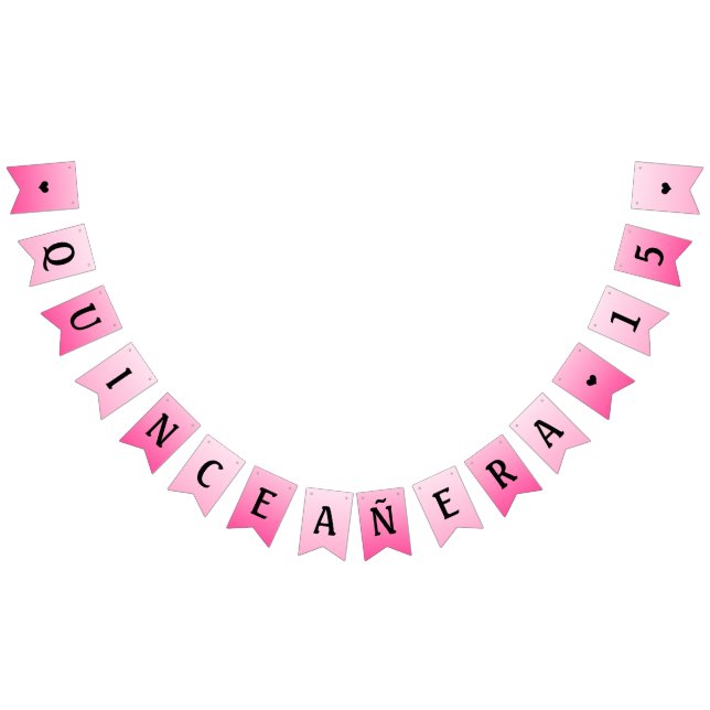 quinceanera party banderoll vimplar (Alla)