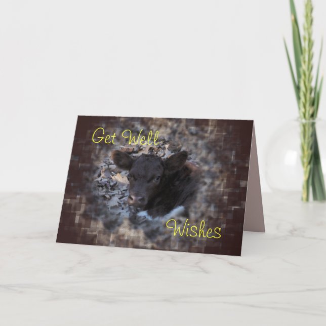 Quincy Pinzgauer kalv 5896 - gör något tillfälle Kort (Framsida)