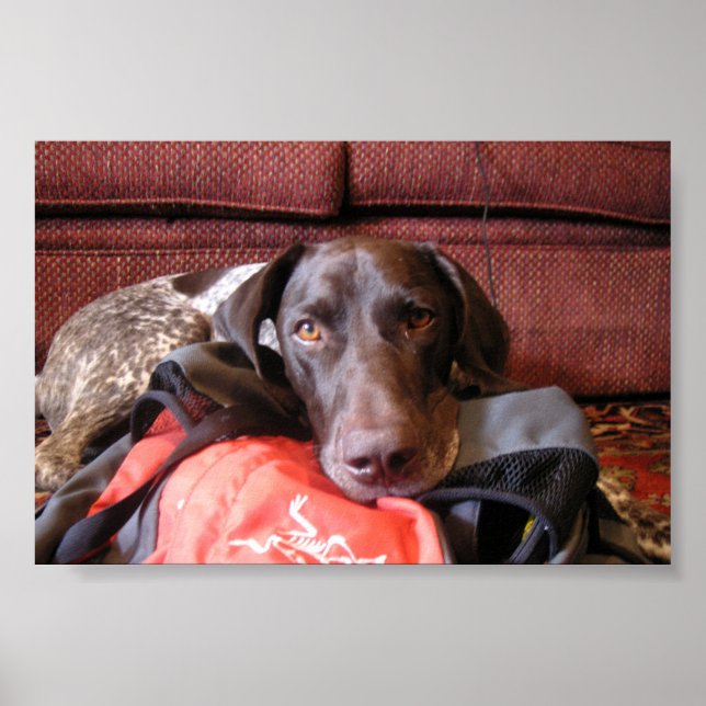 Quincy Poster (Framsidan)