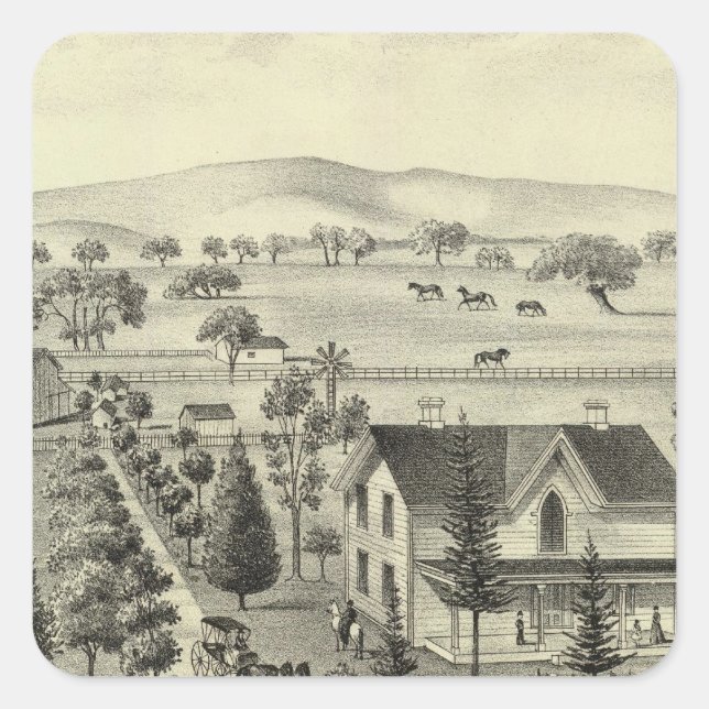 Quinn Fyrkantigt Klistermärke (Framsida)