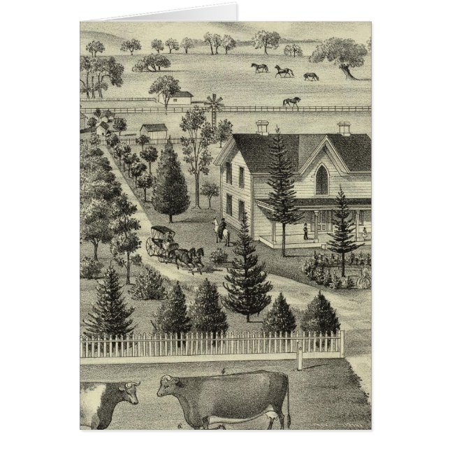 Quinn Hälsningskort (Framsidan)