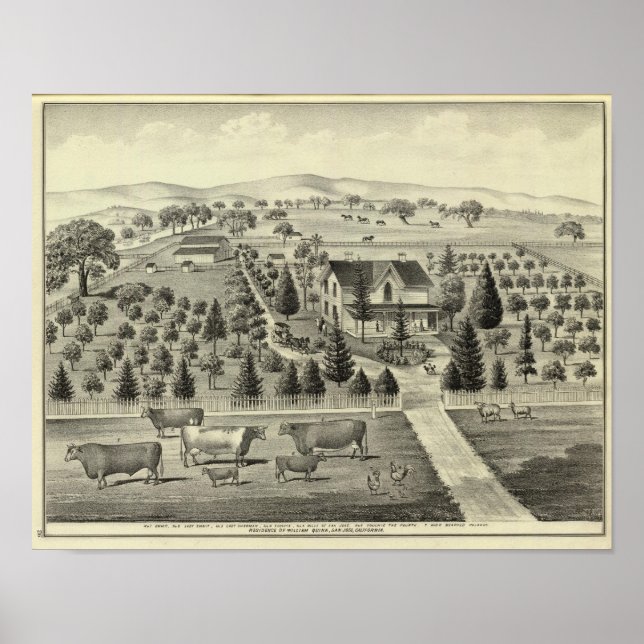 Quinn Poster (Framsidan)