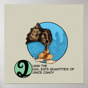 Quinn-Poster Poster