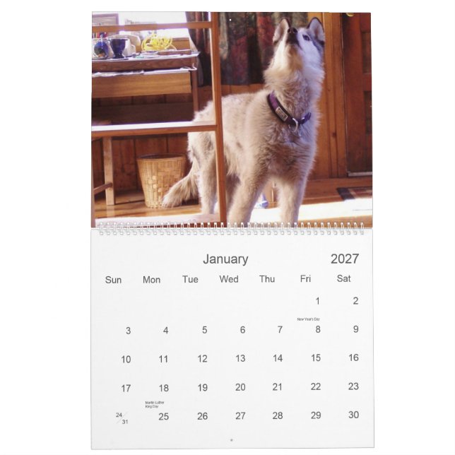 Quinns kalender 2007 (Jan 2027)