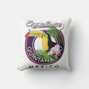Quintana Roo Holbox strand Mexiko. Kudde