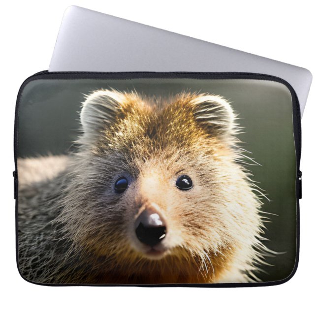 Quintin Ginger Quokka, Laptop sleeve (Framsidan)