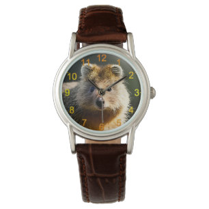 Quintin Ginger Quokka, Wrist Watch Armbandsur