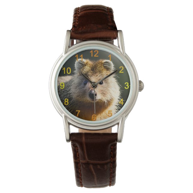 Quintin Ginger Quokka, Wrist Watch Armbandsur (Framsida)