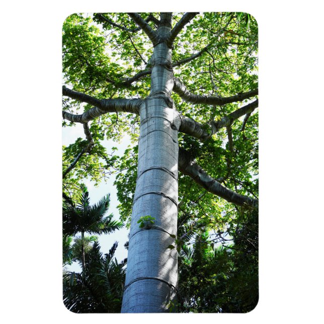 Quipo Träd Photo Magnet (Vertikal)