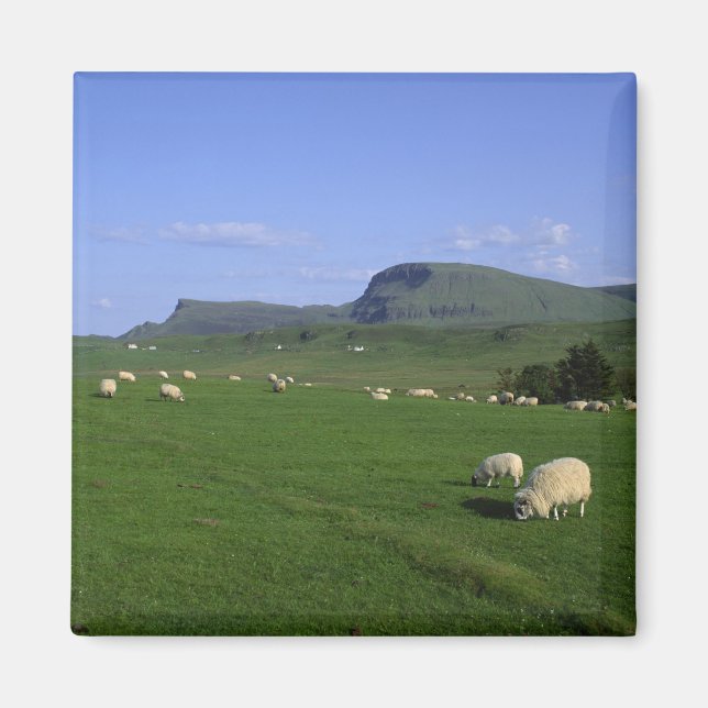 Quiraing-bergen, Isle of Skye, Highlands, Magnet (Framsidan)