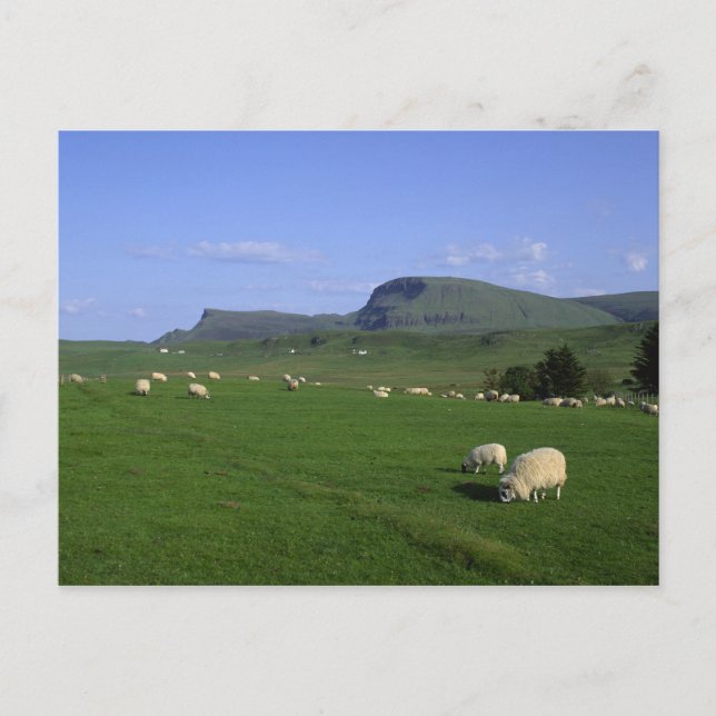 Quiraing-bergen, Isle of Skye, Highlands, Vykort (Framsida)
