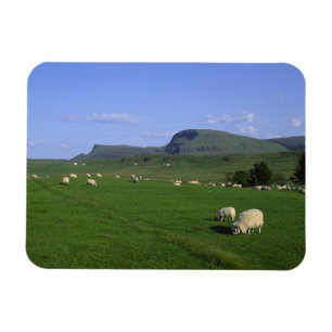 Quiraing-bergen, Isle of Skye, högländerna, Magnet