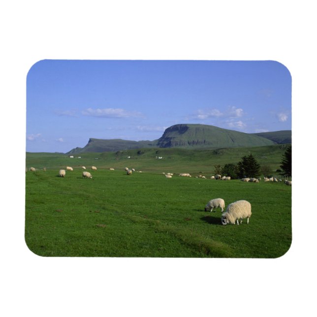 Quiraing-bergen, Isle of Skye, högländerna, Magnet (Horisontell)