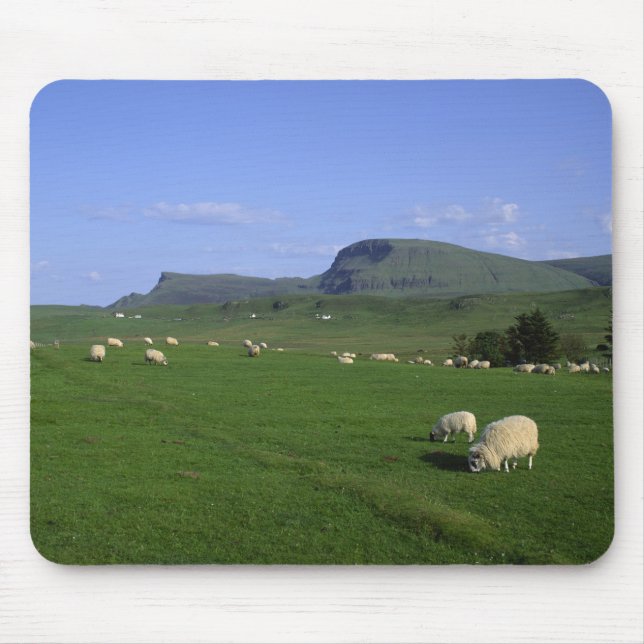 Quiraing-bergen, Isle of Skye, Höglandet, Musmatta (Framsidan)