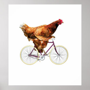 Quirky Chicken Riding Bicycle Poster
