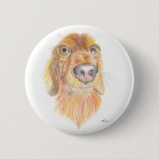 Quirky dachshund knapp